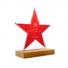 Bespoke Acrylic Award with Wood Base