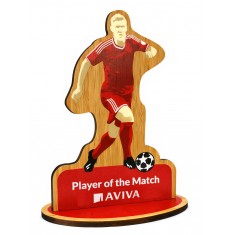 Bespoke Bamboo Award