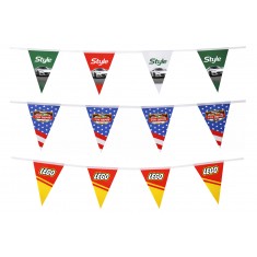 Indoor Bunting
