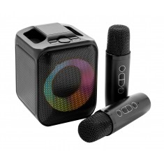 Duet Recycled Karaoke Set