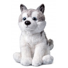 Husky Soft Toy