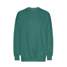 Neutral Tiger Cotton Oversized Sweatshirt