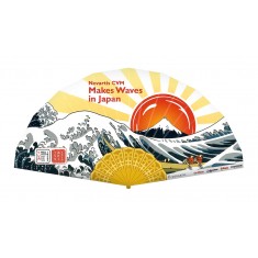 Non Folding Spanish Fan