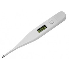 Thermometer - Digital